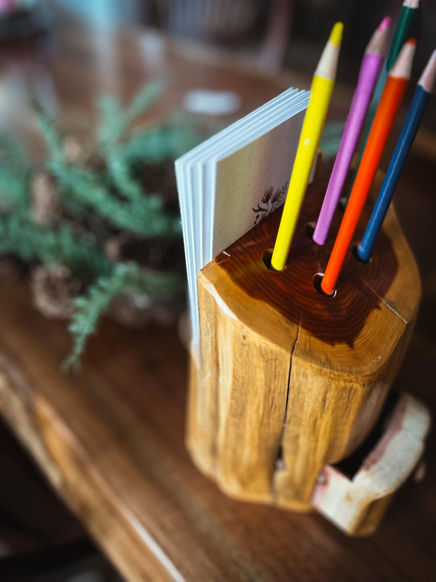 Cedar Pencil Holder with Drawer